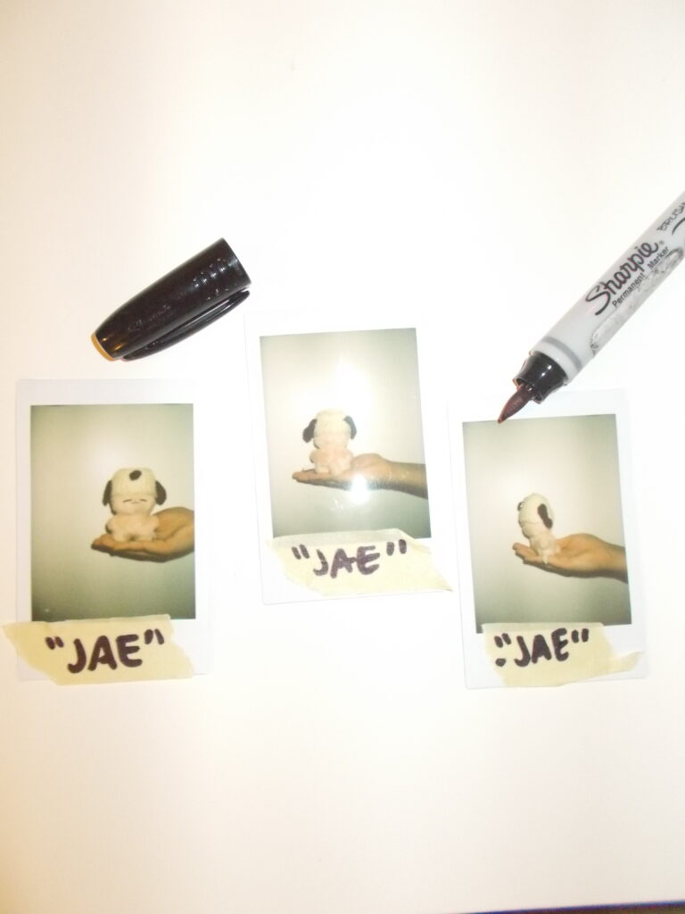 Three polaroids of a stuffed animal named Jae wearing a crochet hat. An uncapped marker is on the table.